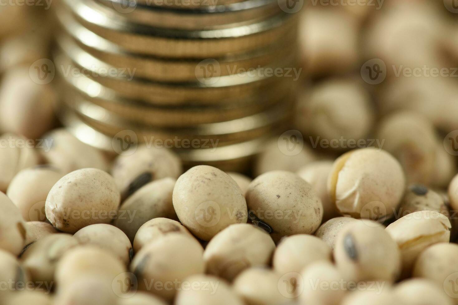 Dollars banknotes and coins and soy beans, commoditi value concept. photo