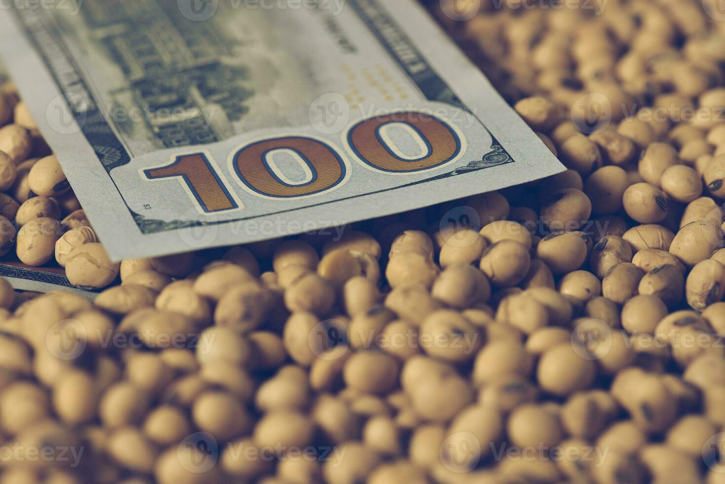 Dollars banknotes and coins and soy beans,oleaginous commoditi value concept. photo