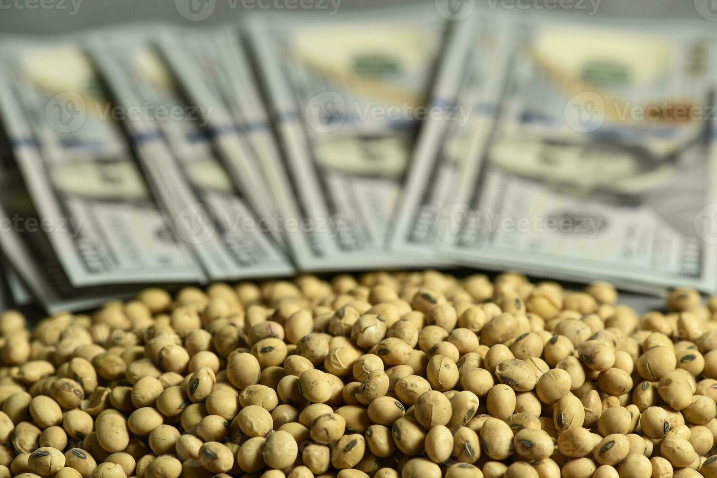 Dollars banknotes and coins and soy beans, commoditi value concept. photo