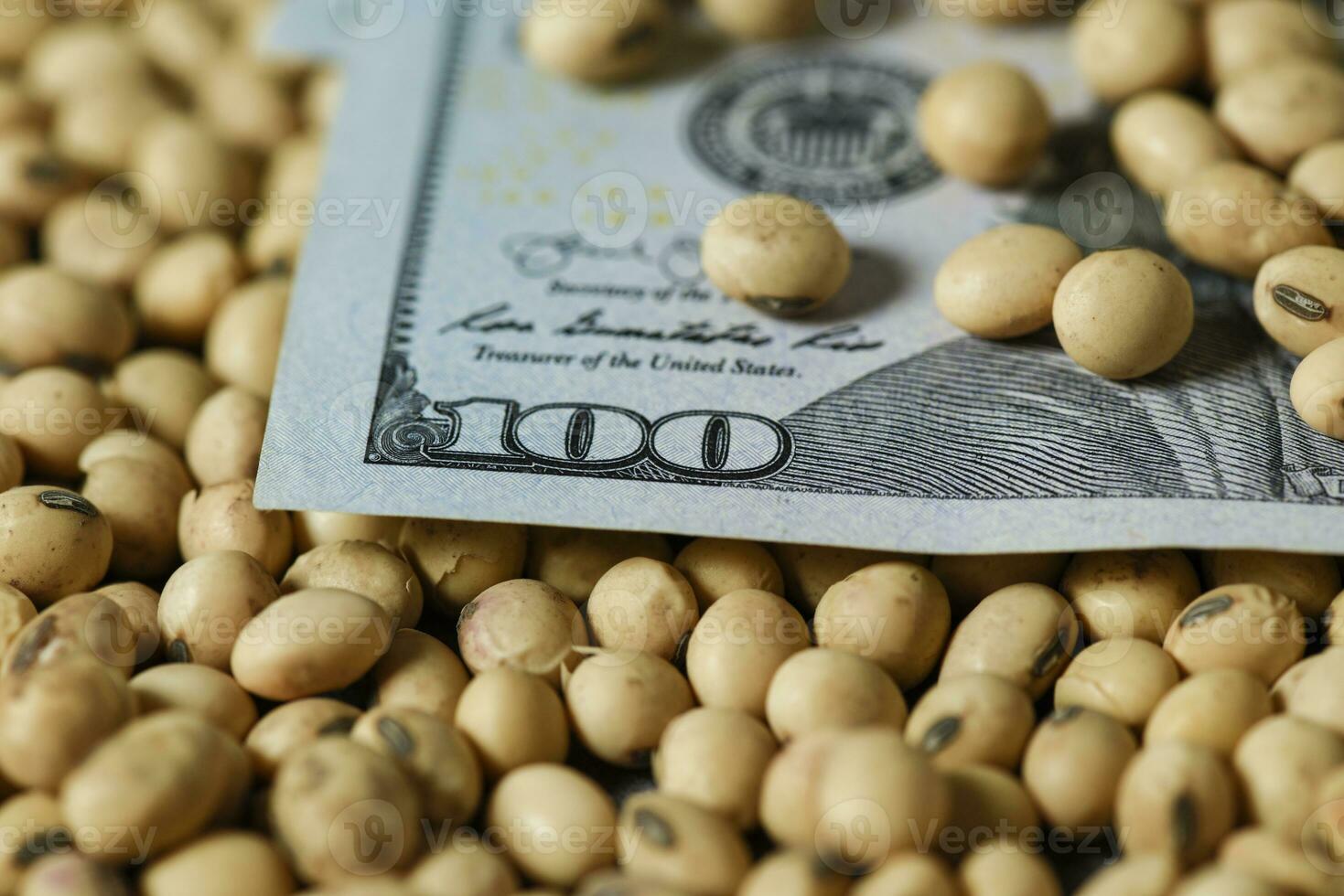 Dollars banknotes and coins and soy beans, commoditi value concept. photo