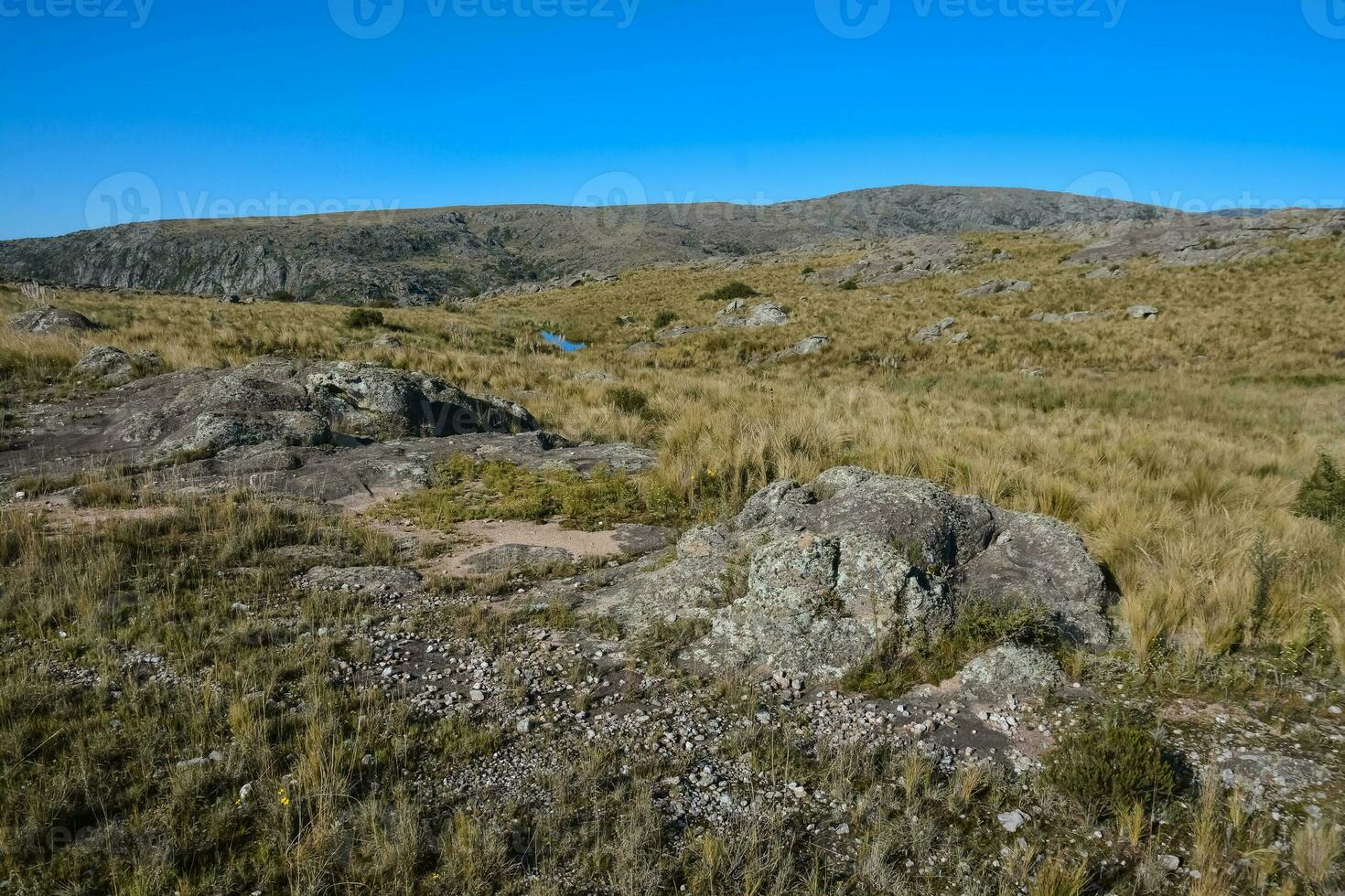 Quebrada del Condorito  National Park landscape,Cordoba province, Argentina photo