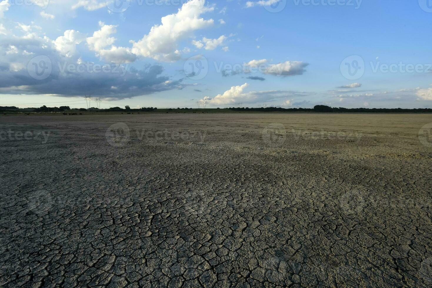 roto seco suelo en un pampa laguna, la pampa provincia, Patagonia, argentina. foto