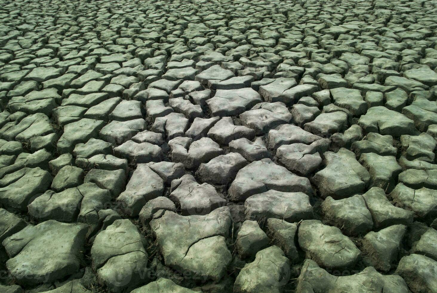 Broken soil in Pampas environment , La pampa Province, Patagonia, Argentina. photo