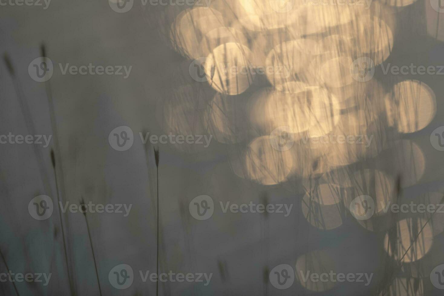 Grass, abstract, background photo
