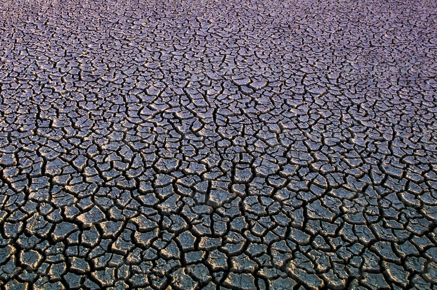 Broken soil in Pampas environment , La pampa Province, Patagonia, Argentina. photo