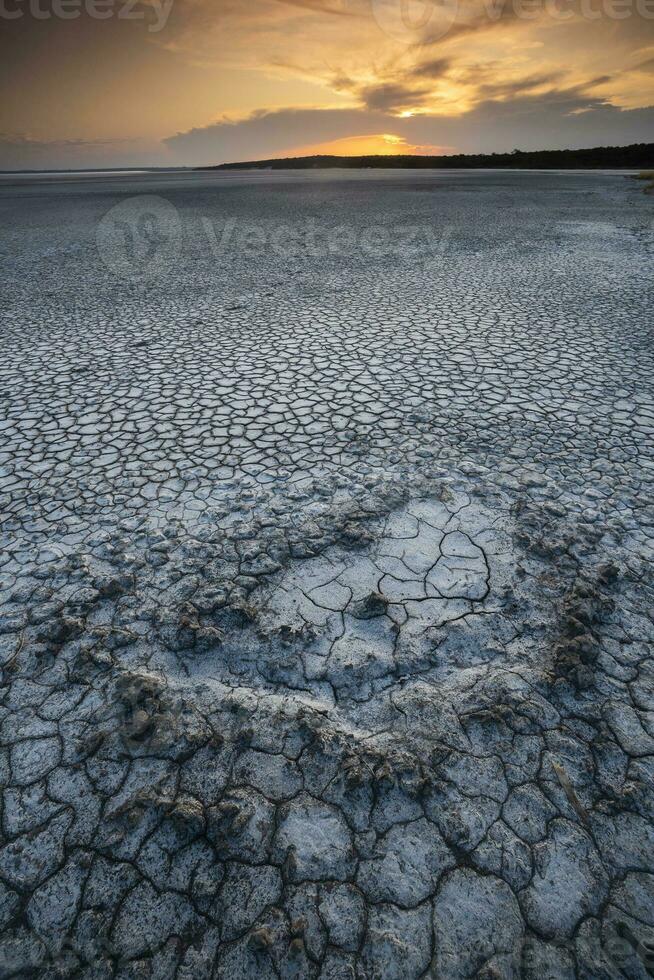 roto seco suelo en un pampa laguna, la pampa provincia, Patagonia, argentina. foto