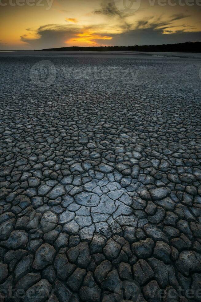 Broken dry soil in a Pampas lagoon, La Pampa province, Patagonia, Argentina. photo