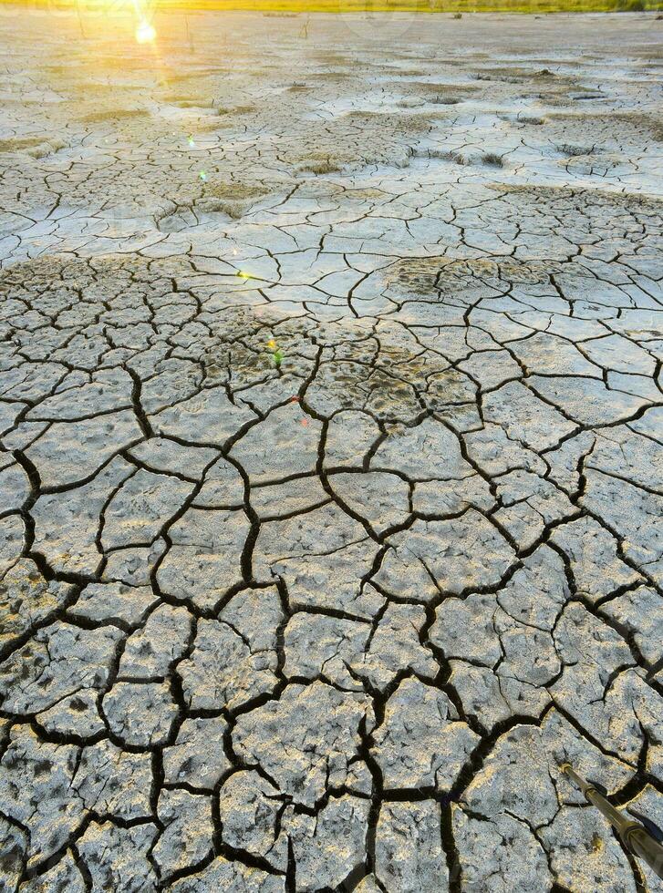 Broken dry soil in a Pampas lagoon, La Pampa province, Patagonia, Argentina. photo