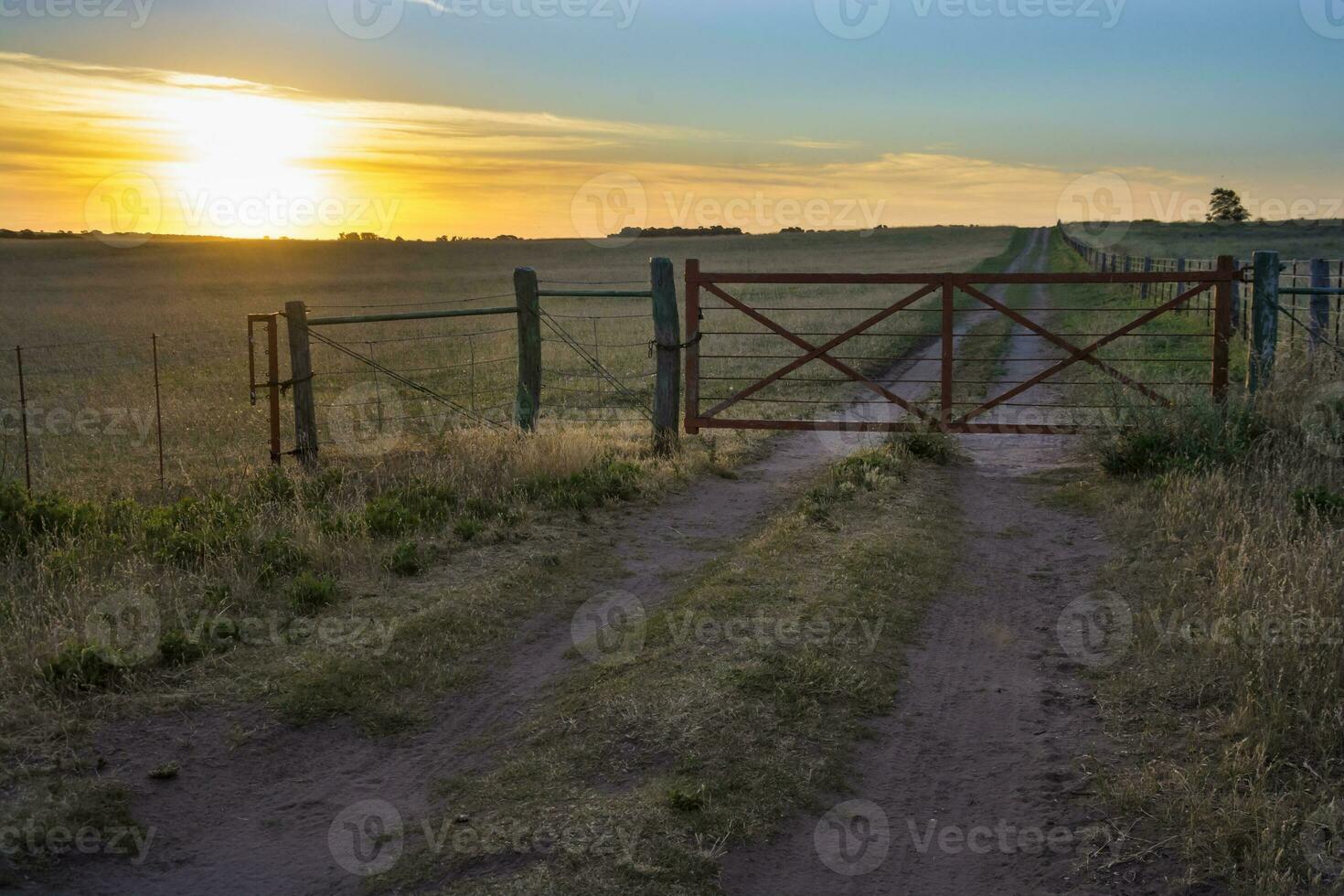 Field gateway in countryside, Buenos Aires province, Patagonia , Argentina photo