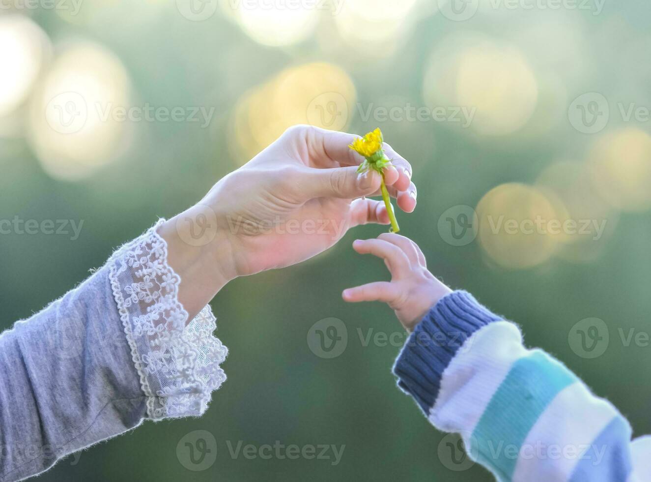 Hand giving a flower, Mother and son photo