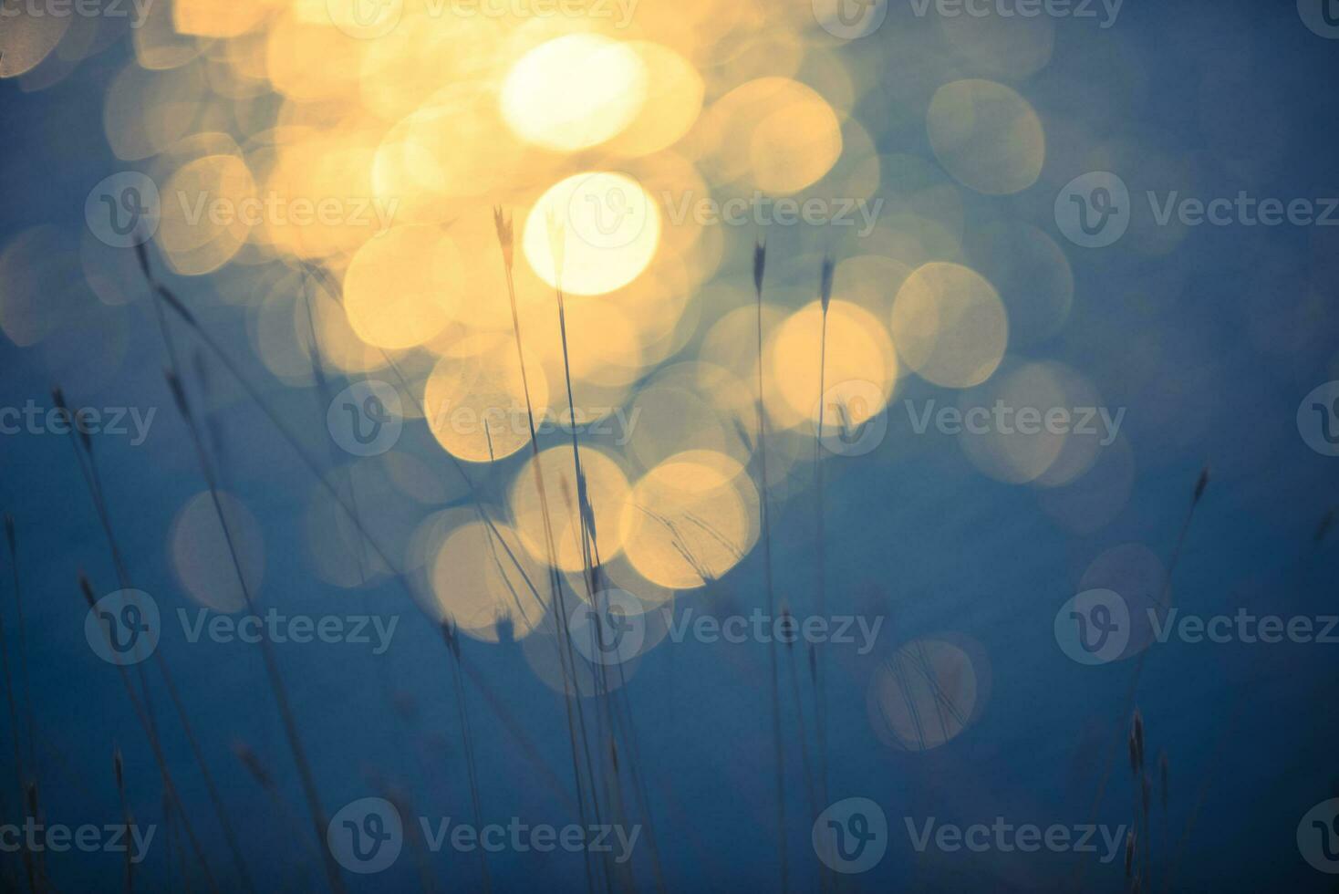 Grass, abstract, background photo