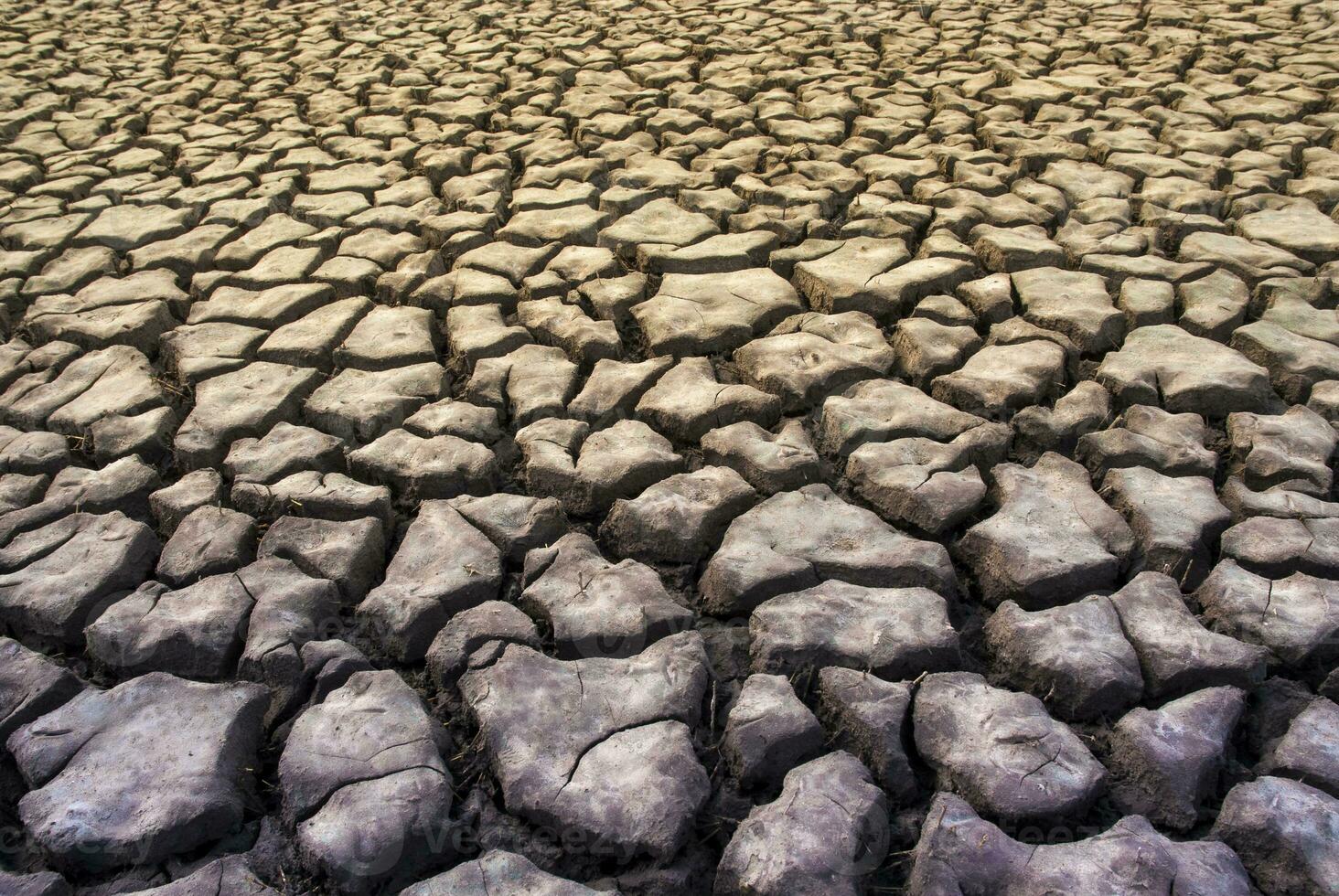 Broken soil in Pampas environment , Patagonia, Argentina. photo