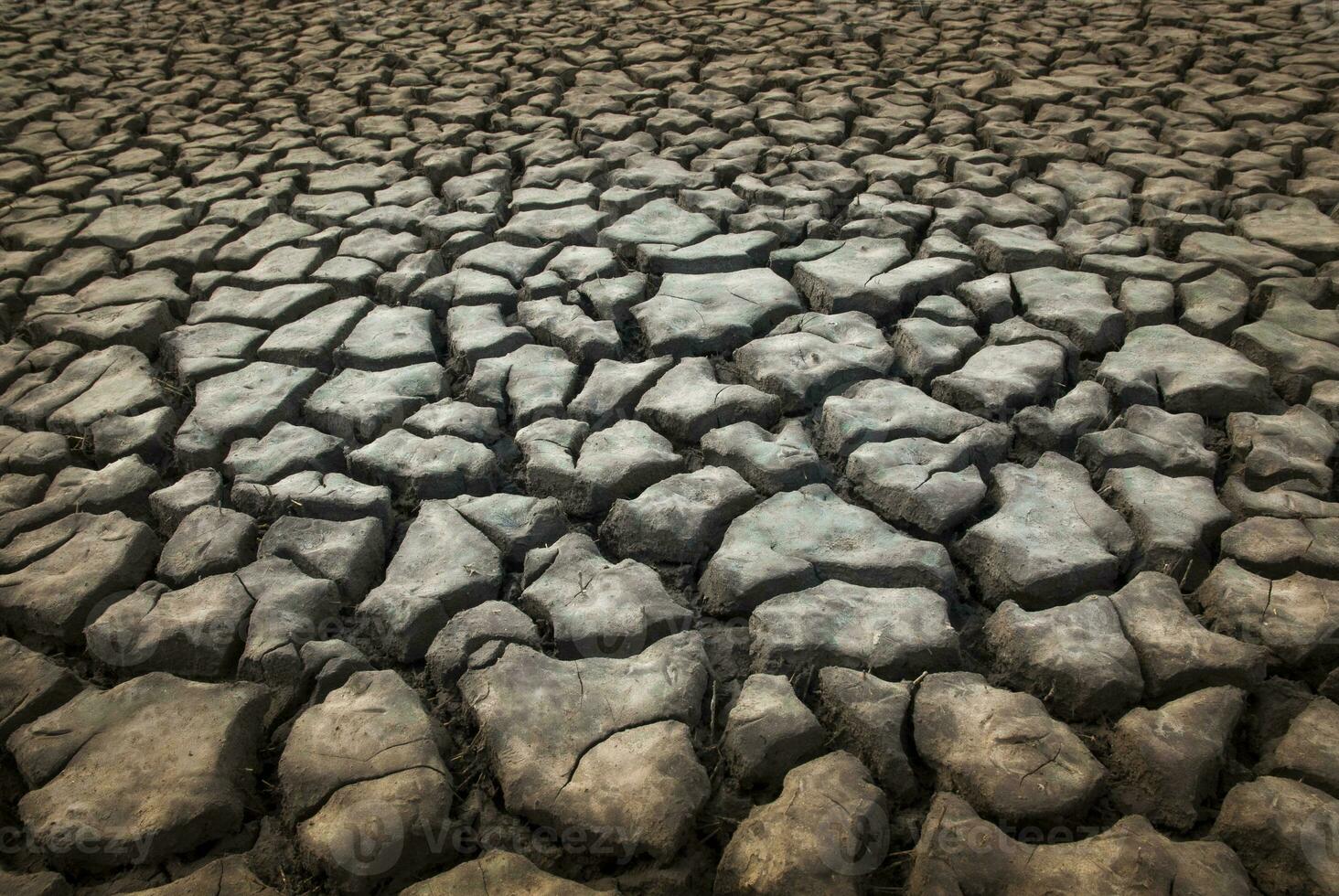 Broken soil in Pampas environment , La pampa Province, Patagonia, Argentina. photo