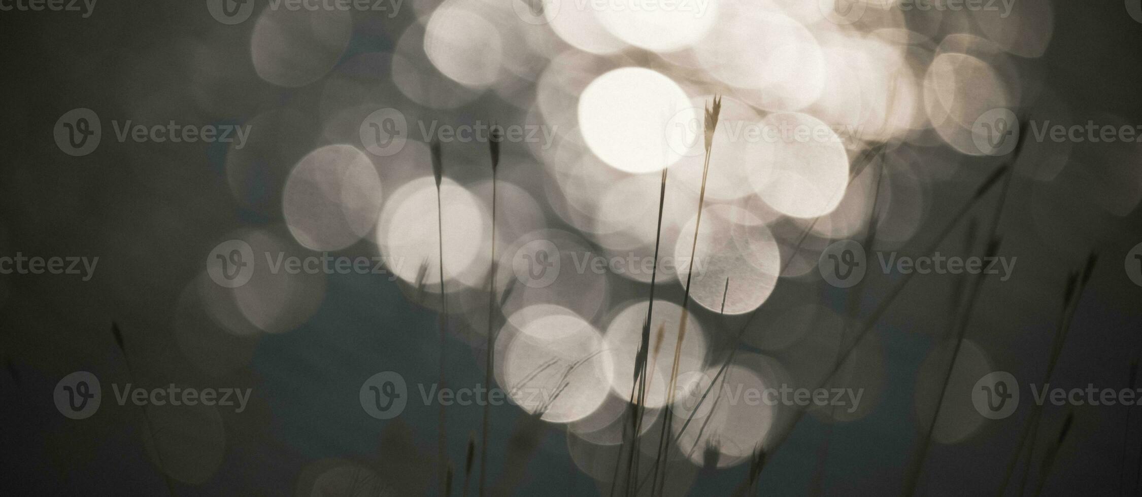 Shine water , bokeh background photo