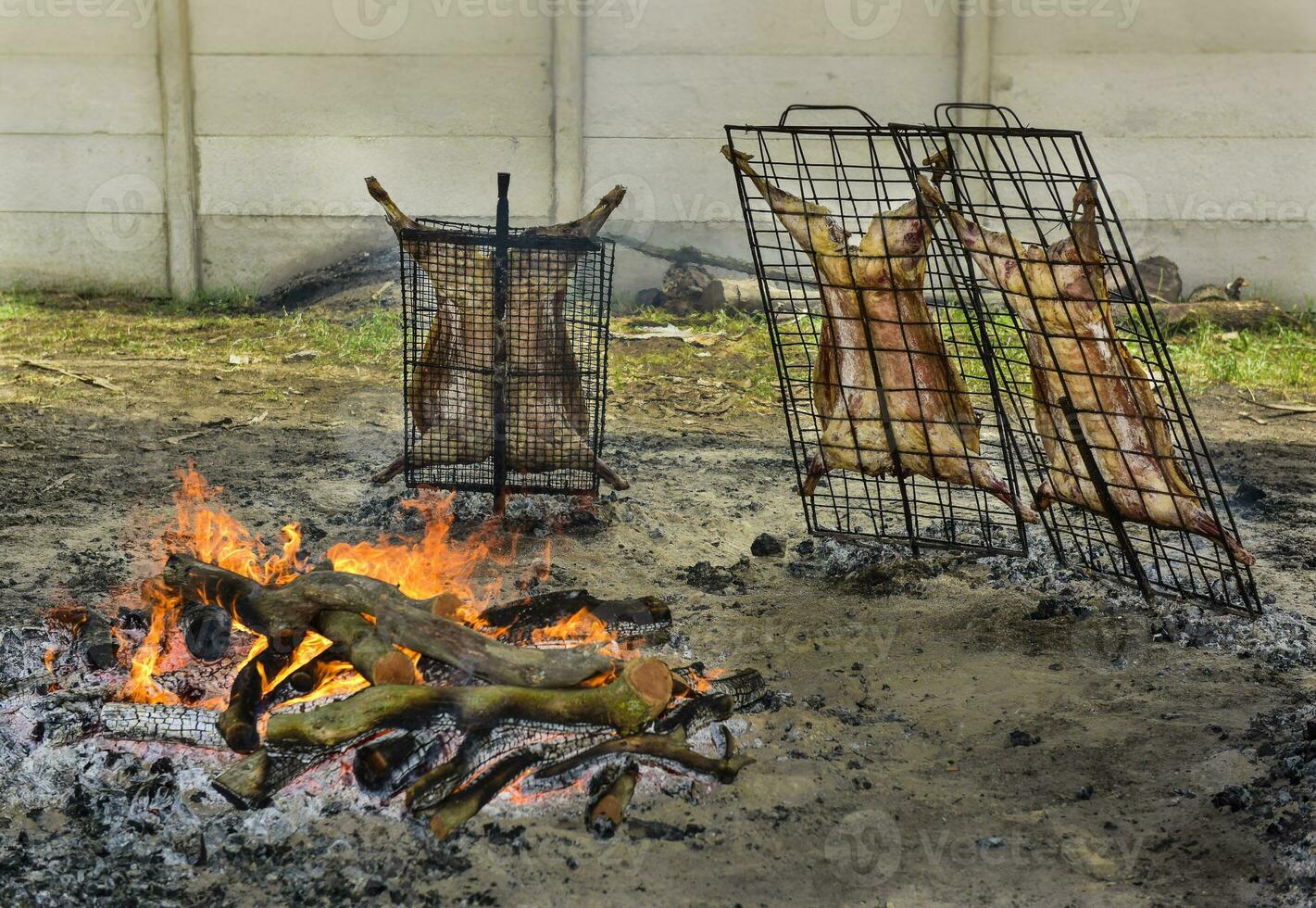 Lamb on the spit, Patagonia, Argentina. photo