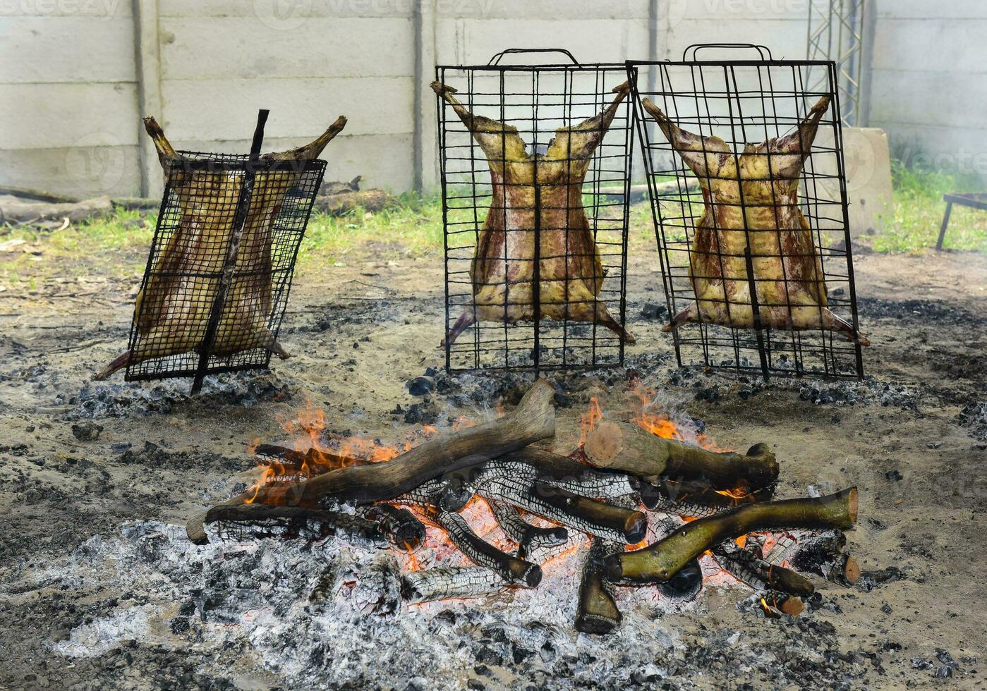 Lamb on the spit, Patagonia, Argentina. photo