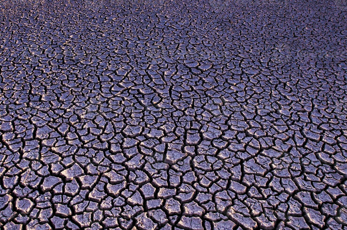 Broken soil in Pampas environment , La pampa Province, Patagonia, Argentina. photo