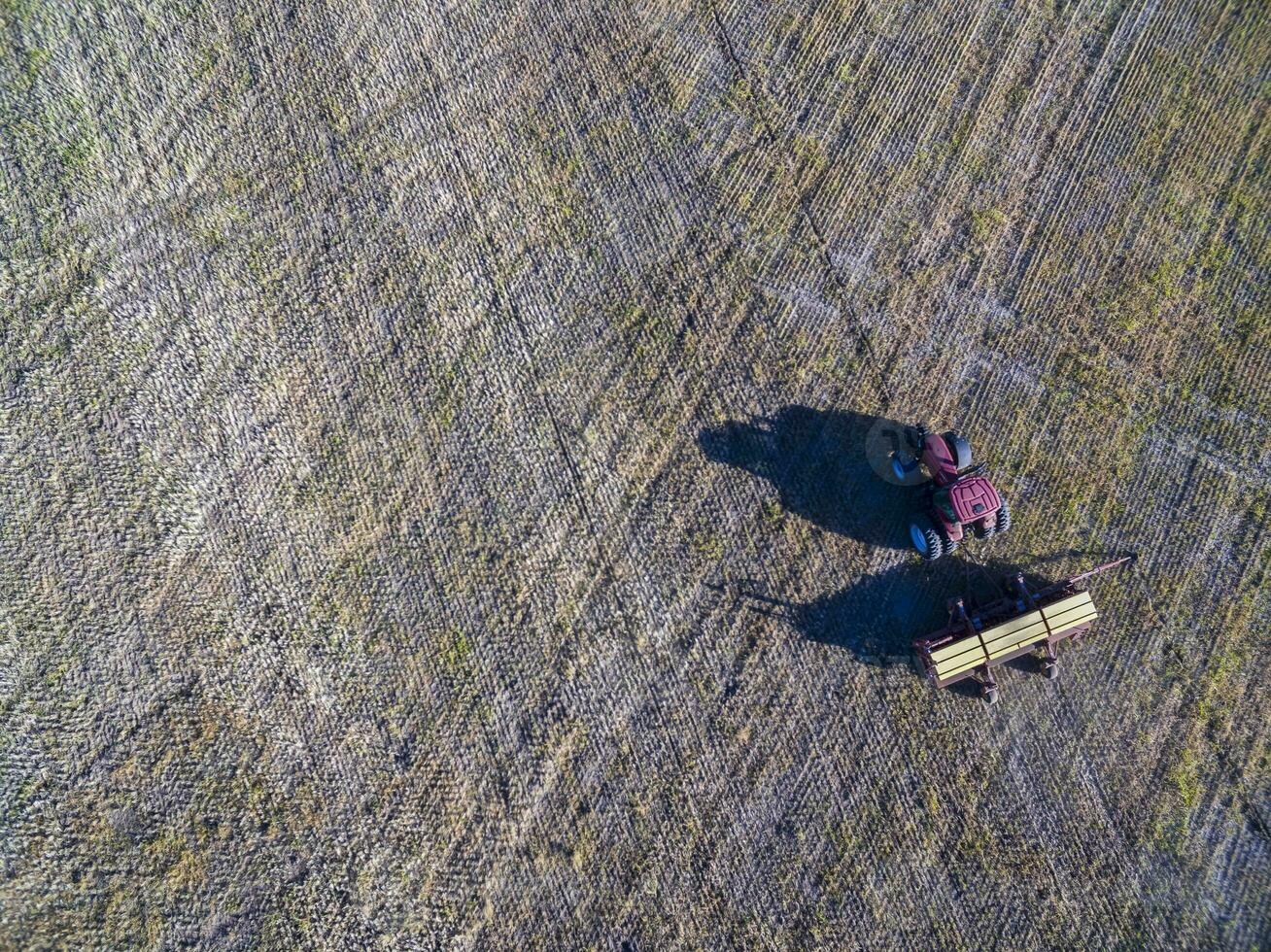 Tractor and seeder, direct sowing in the pampa, Argentina photo
