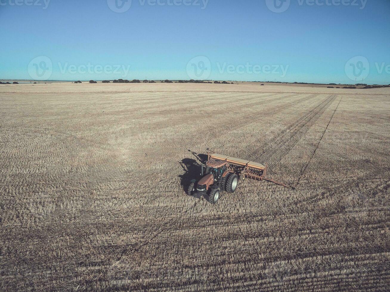 Tractor and seeder, direct sowing in the pampa, Argentina photo