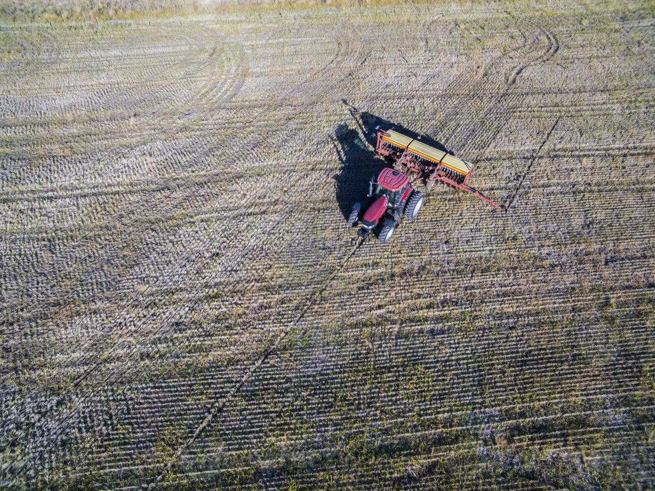 Tractor and seeder, direct sowing in the pampa, Argentina photo