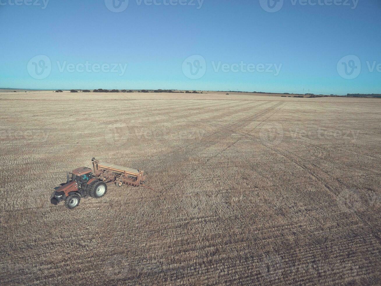 Tractor and seeder, direct sowing in the pampa, Argentina photo