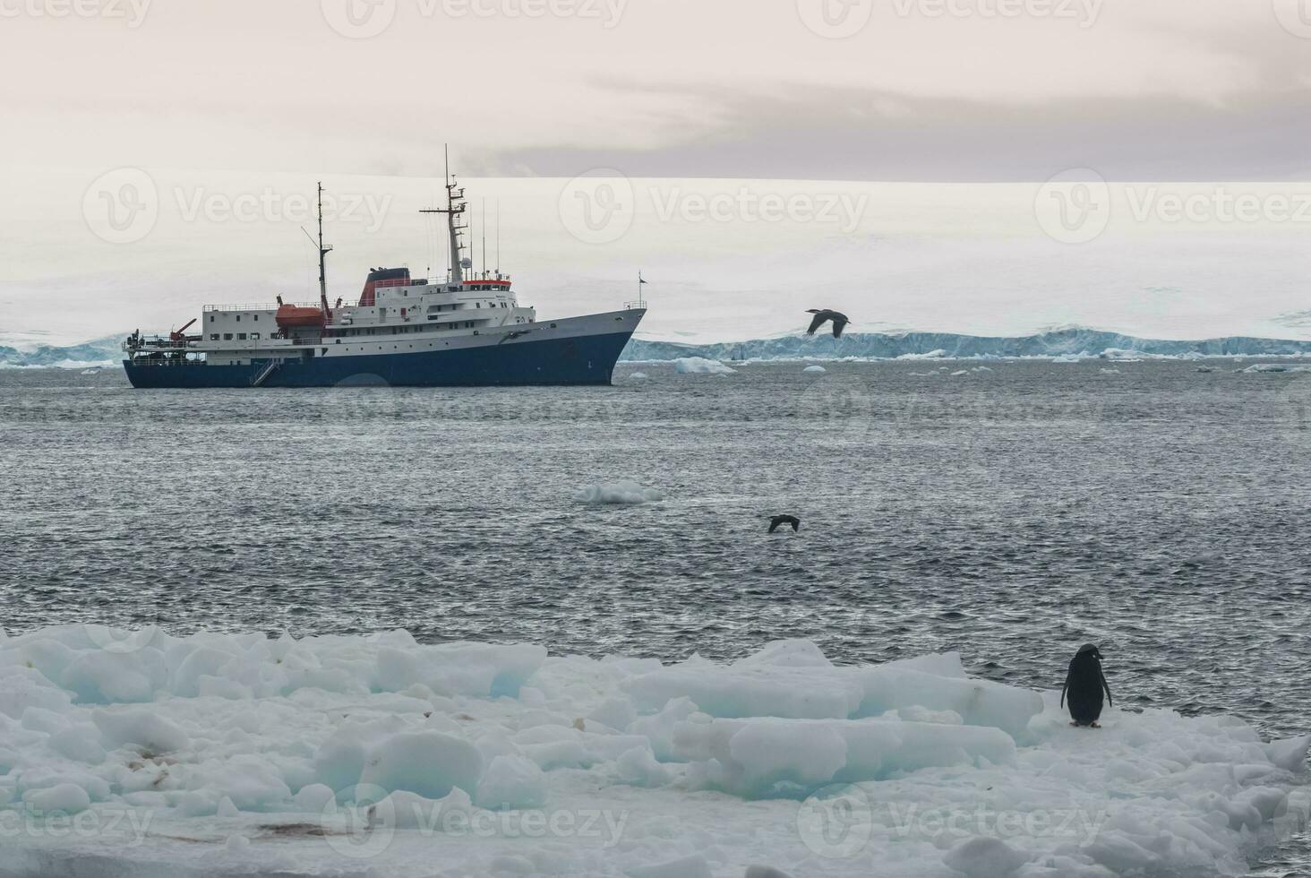 Expedition ship, cruise in Antarctic landscape, Paulet island, near the Antarctic Peninsula photo