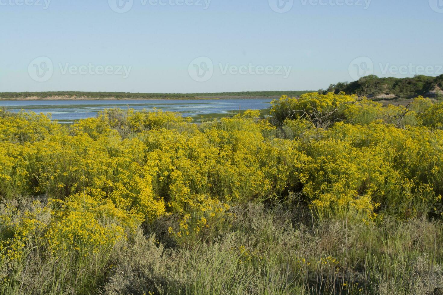 Flowery landscape in vintage color effect photo