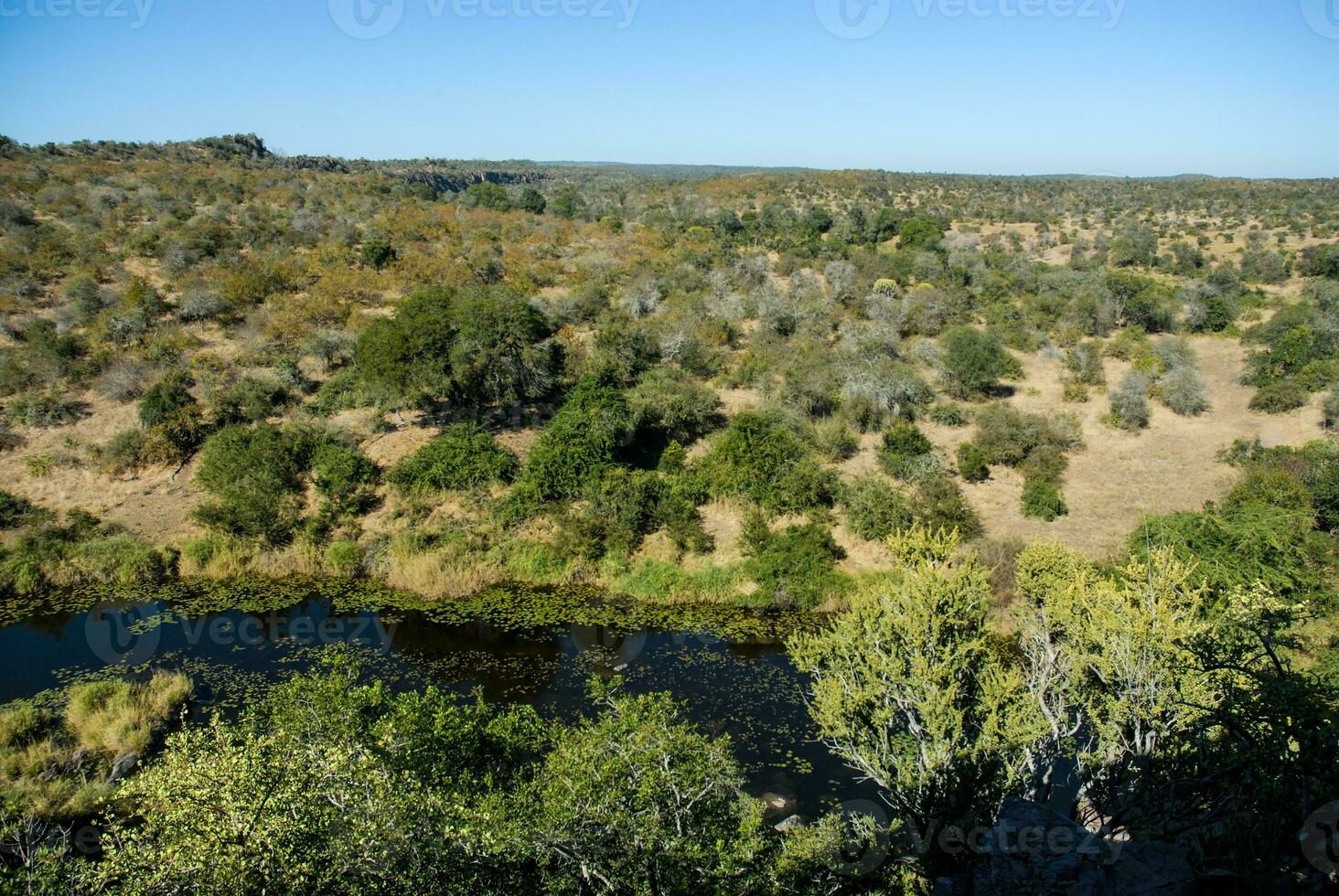 African savannah landscape photo