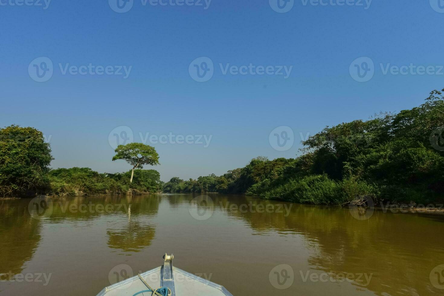 River landscape  and jungle,Pantanal, Brazil photo