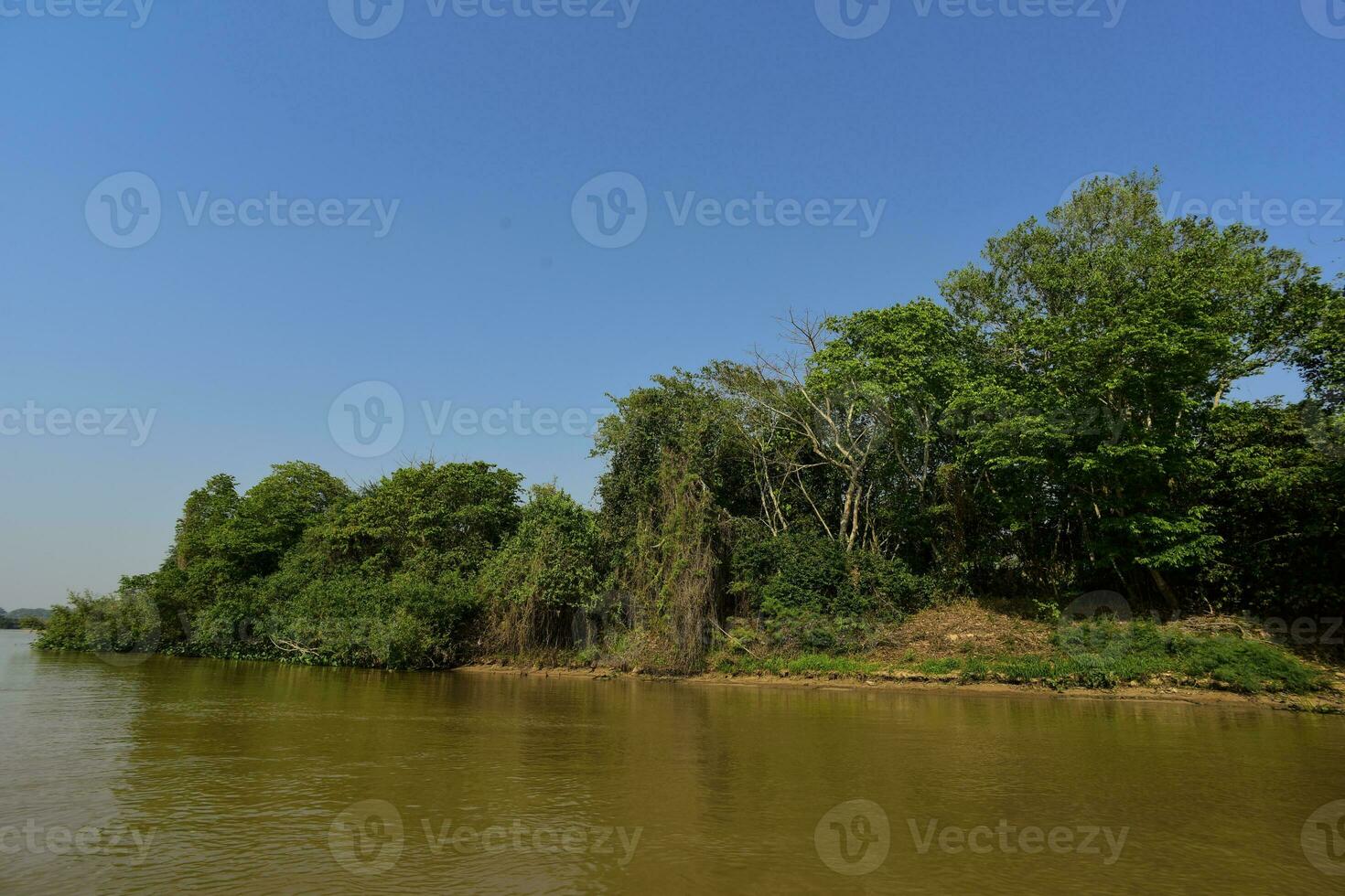 río paisaje y selva,pantanal, Brasil foto