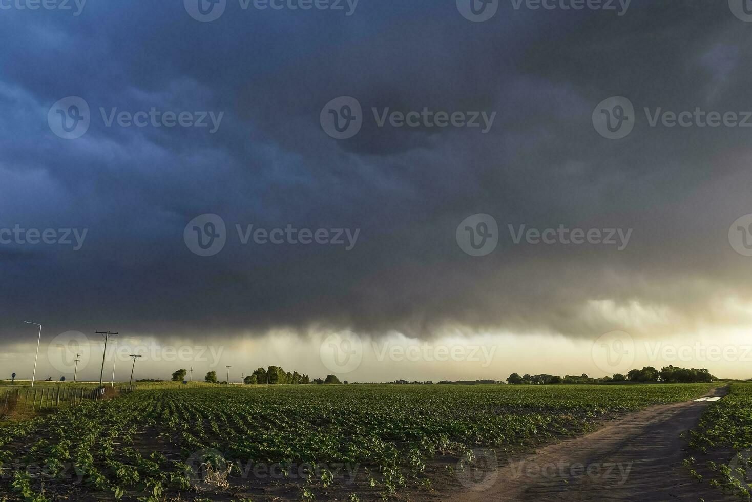 Threatening storm clouds, Pampas, Patagonia, Argentina photo