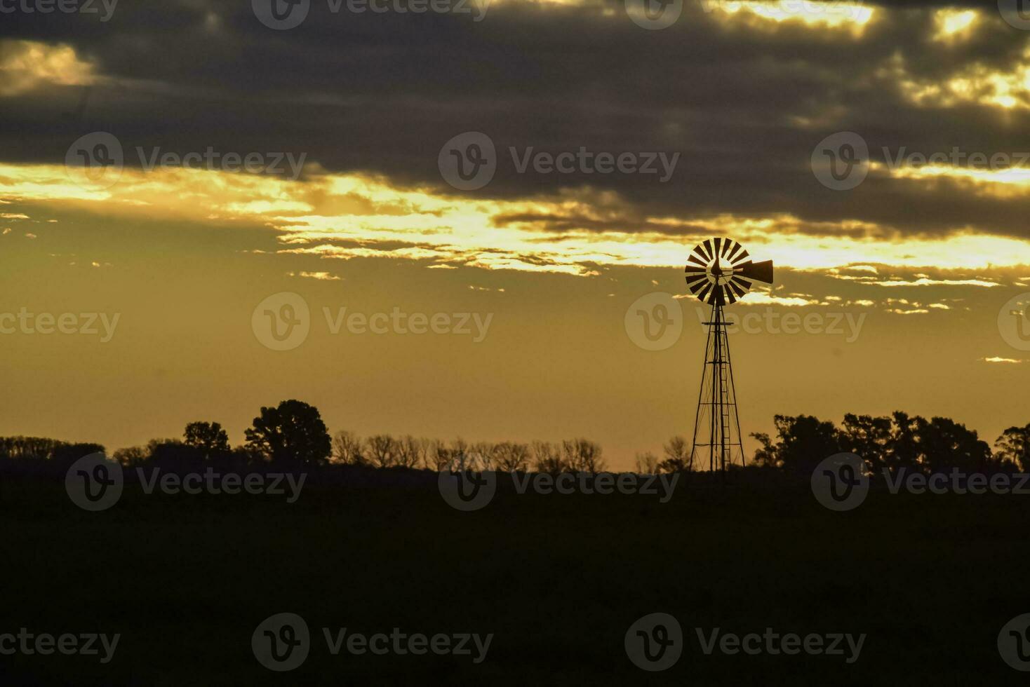 Landscape with windmill at sunset, Pampas, Patagonia,Argentina photo