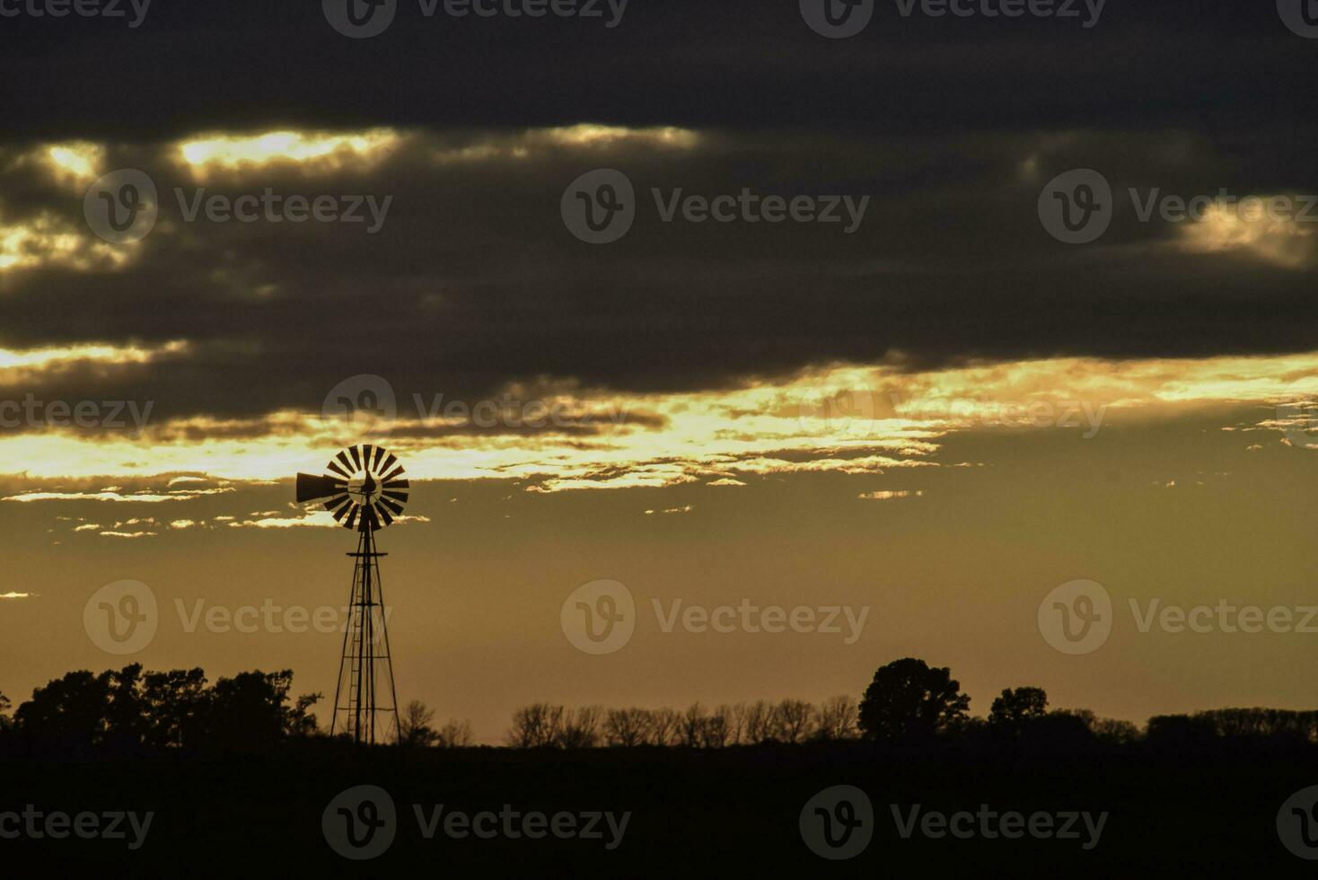 Landscape with windmill at sunset, Pampas, Patagonia,Argentina photo