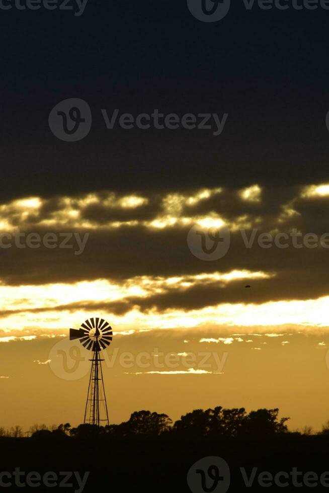 Landscape with windmill at sunset, Pampas, Patagonia,Argentina photo