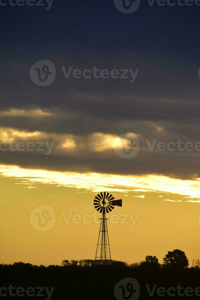 Landscape with windmill at sunset, Pampas, Patagonia,Argentina photo