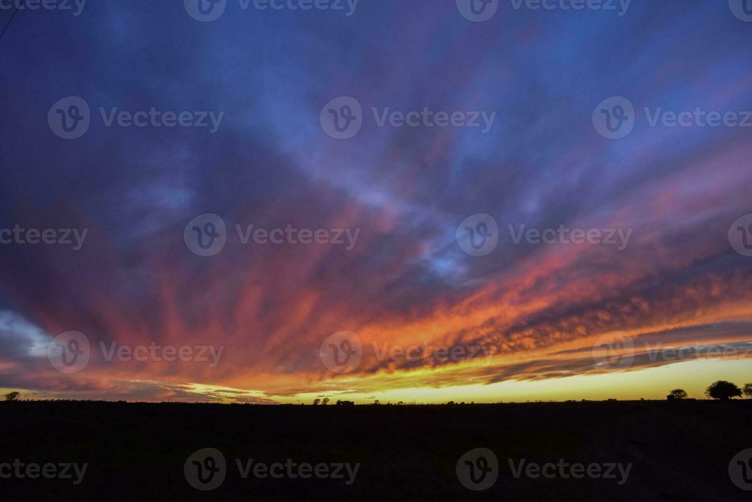 Landscape with windmill at sunset, Pampas, Patagonia,Argentina photo