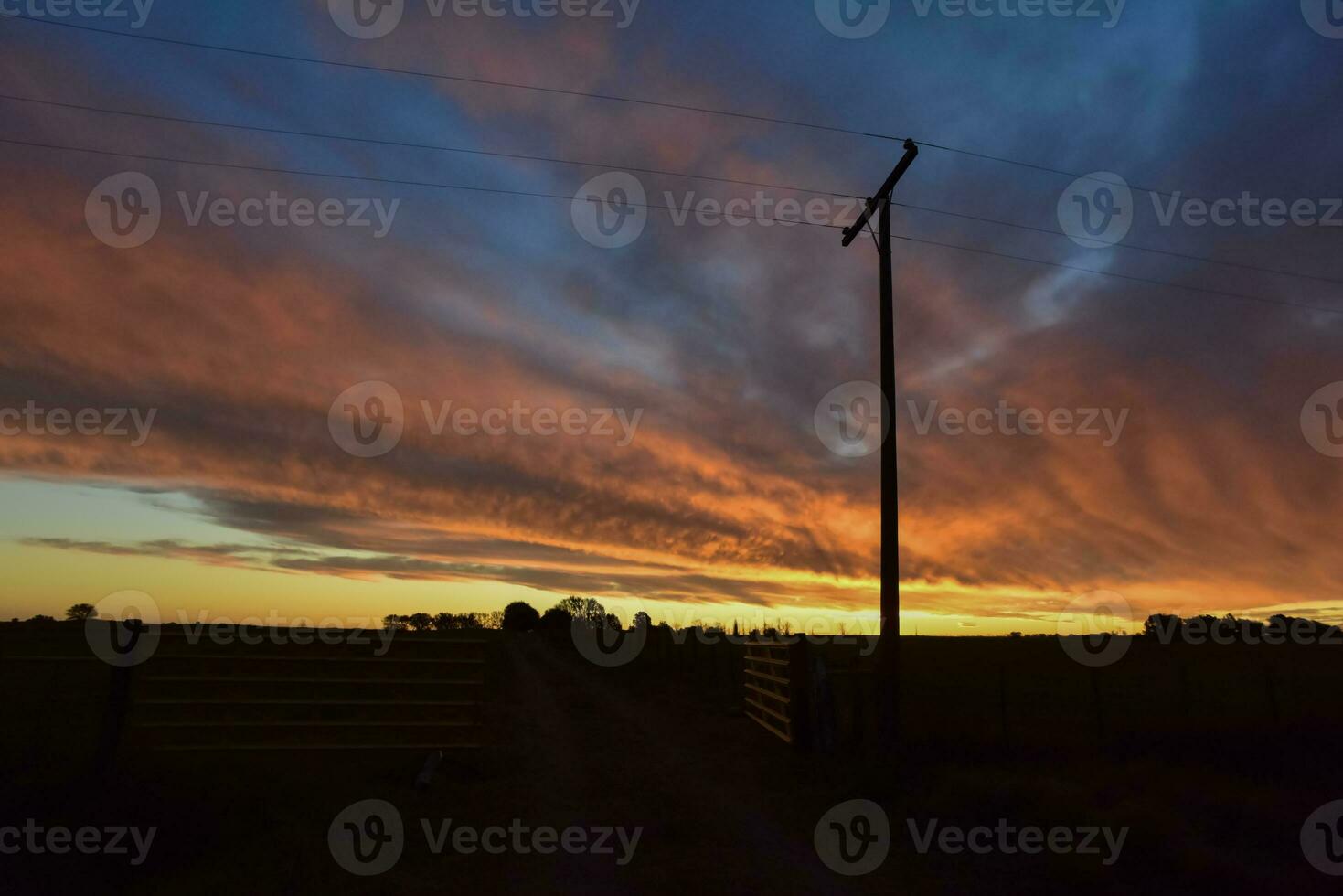 Landscape with windmill at sunset, Pampas, Patagonia,Argentina photo