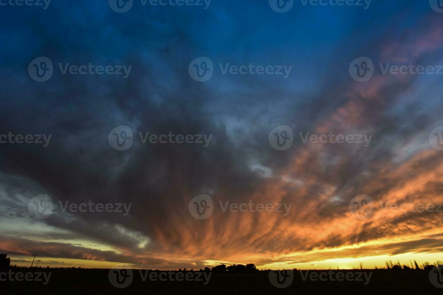 Landscape with windmill at sunset, Pampas, Patagonia,Argentina photo