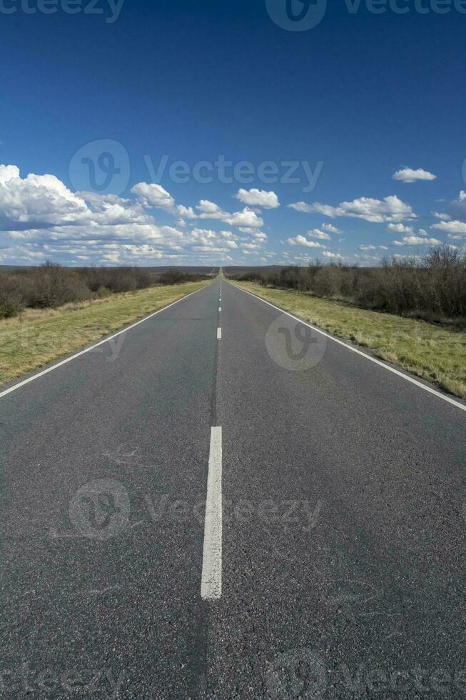 Route in the Pampas plain, Patagonia, Argentina photo