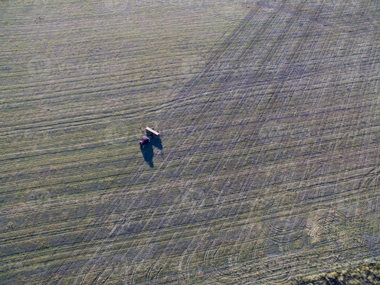 tractor y sembradora, directo siembra en el pampa, argentina foto