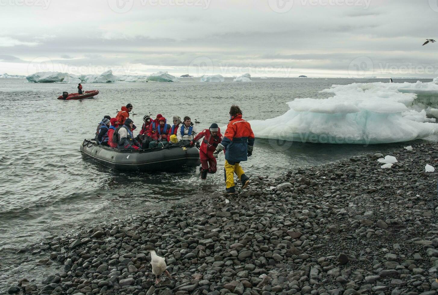 Expedition ship, cruise in Antarctic landscape, Paulet island, near the Antarctic Peninsula photo