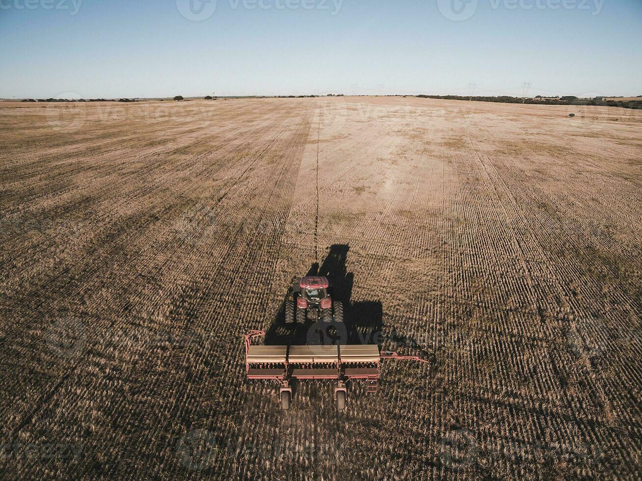 Tractor and seeder, direct sowing in the pampa, Argentina photo
