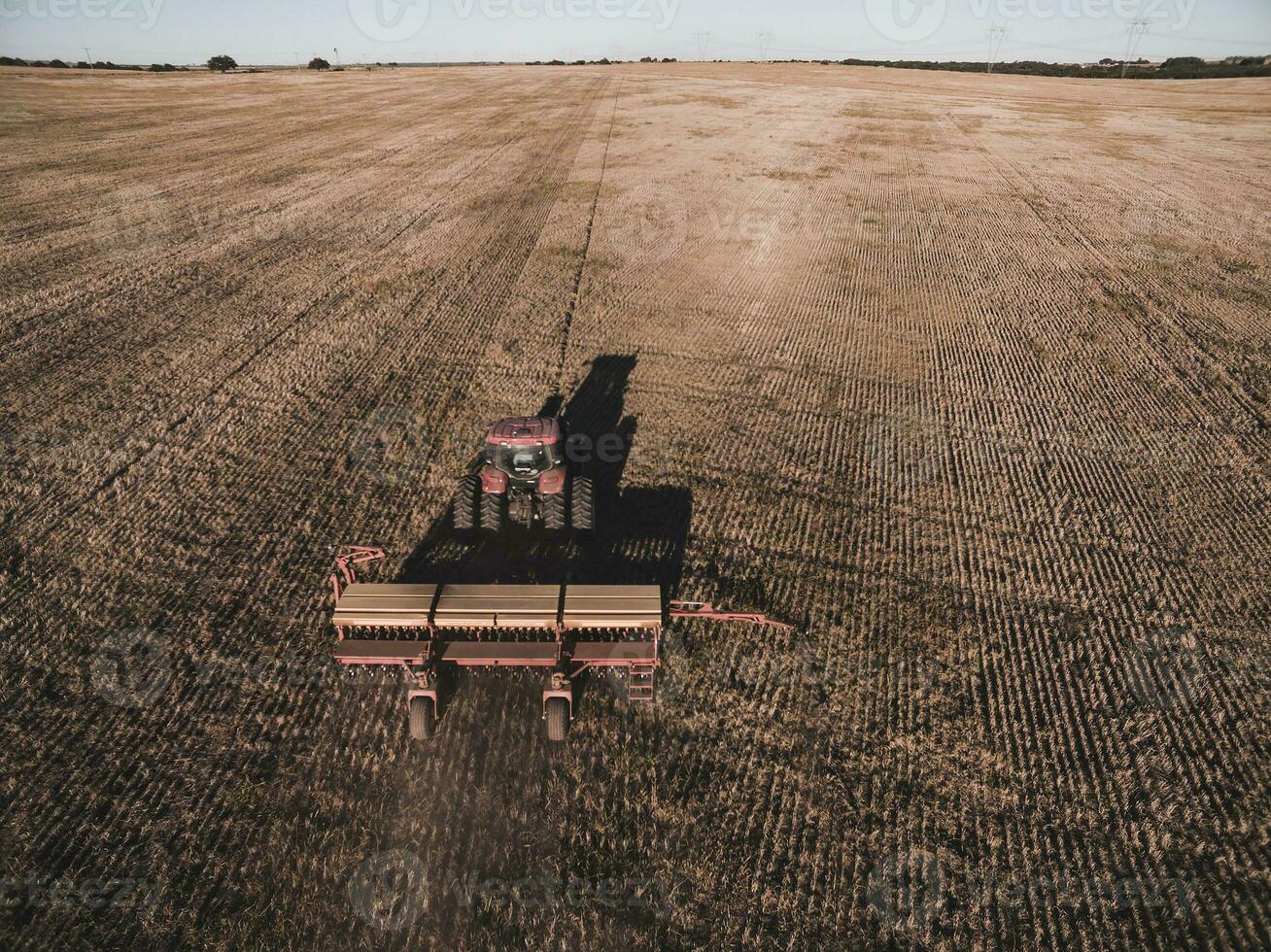 Tractor and seeder, direct sowing in the pampa, Argentina photo