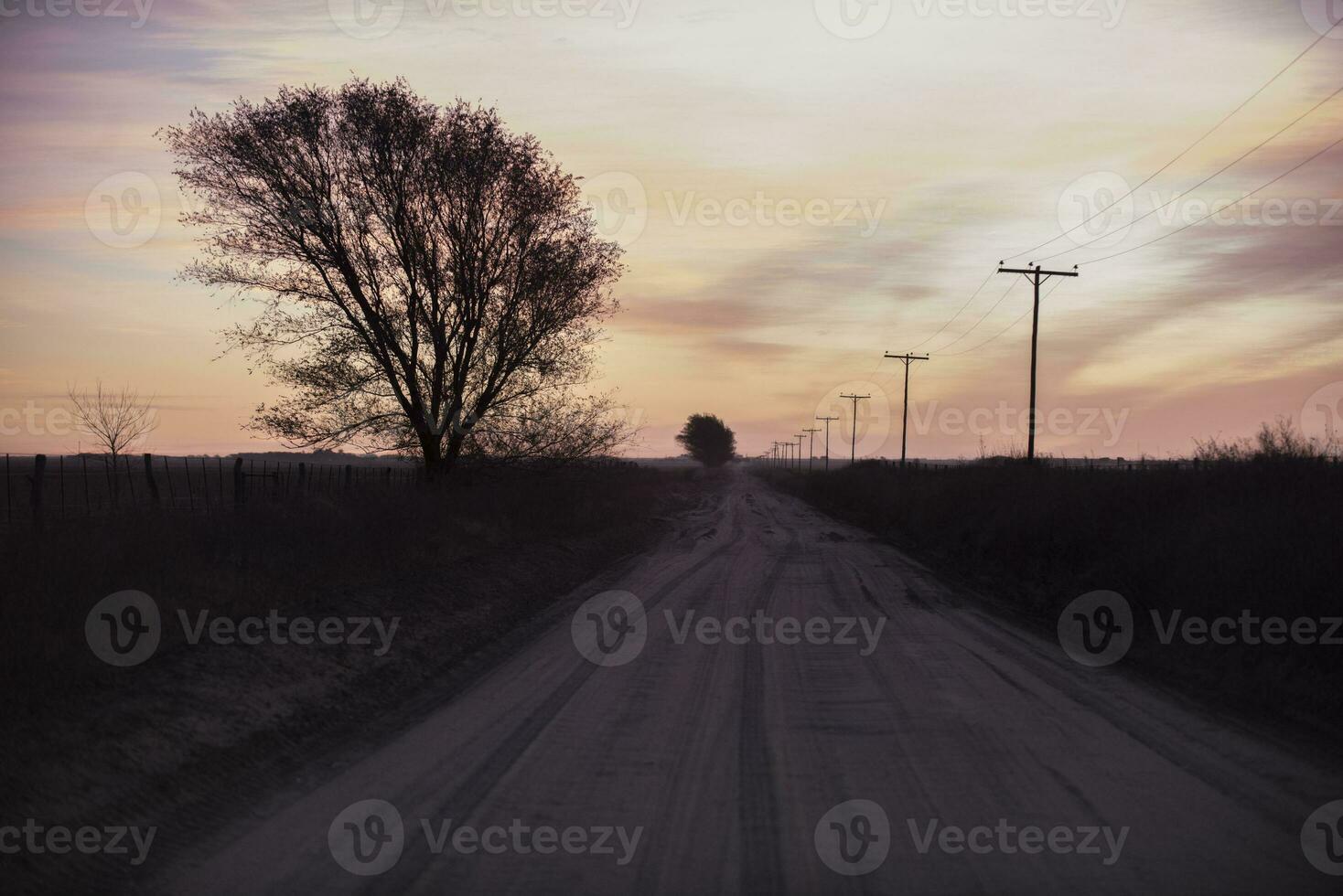 Landscape with windmill at sunset, Pampas, Patagonia,Argentina photo