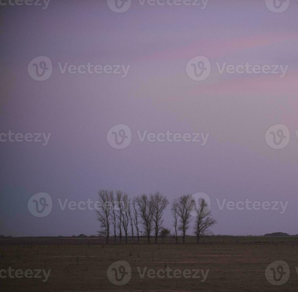 Landscape with windmill at sunset, Pampas, Patagonia,Argentina photo