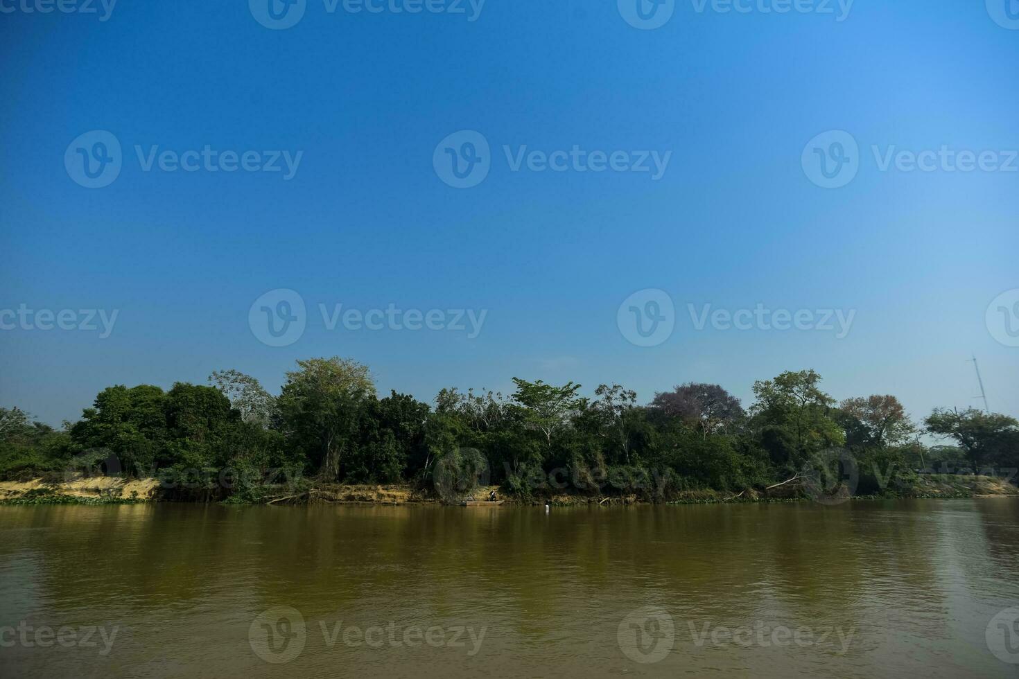 río paisaje y selva,pantanal, Brasil foto