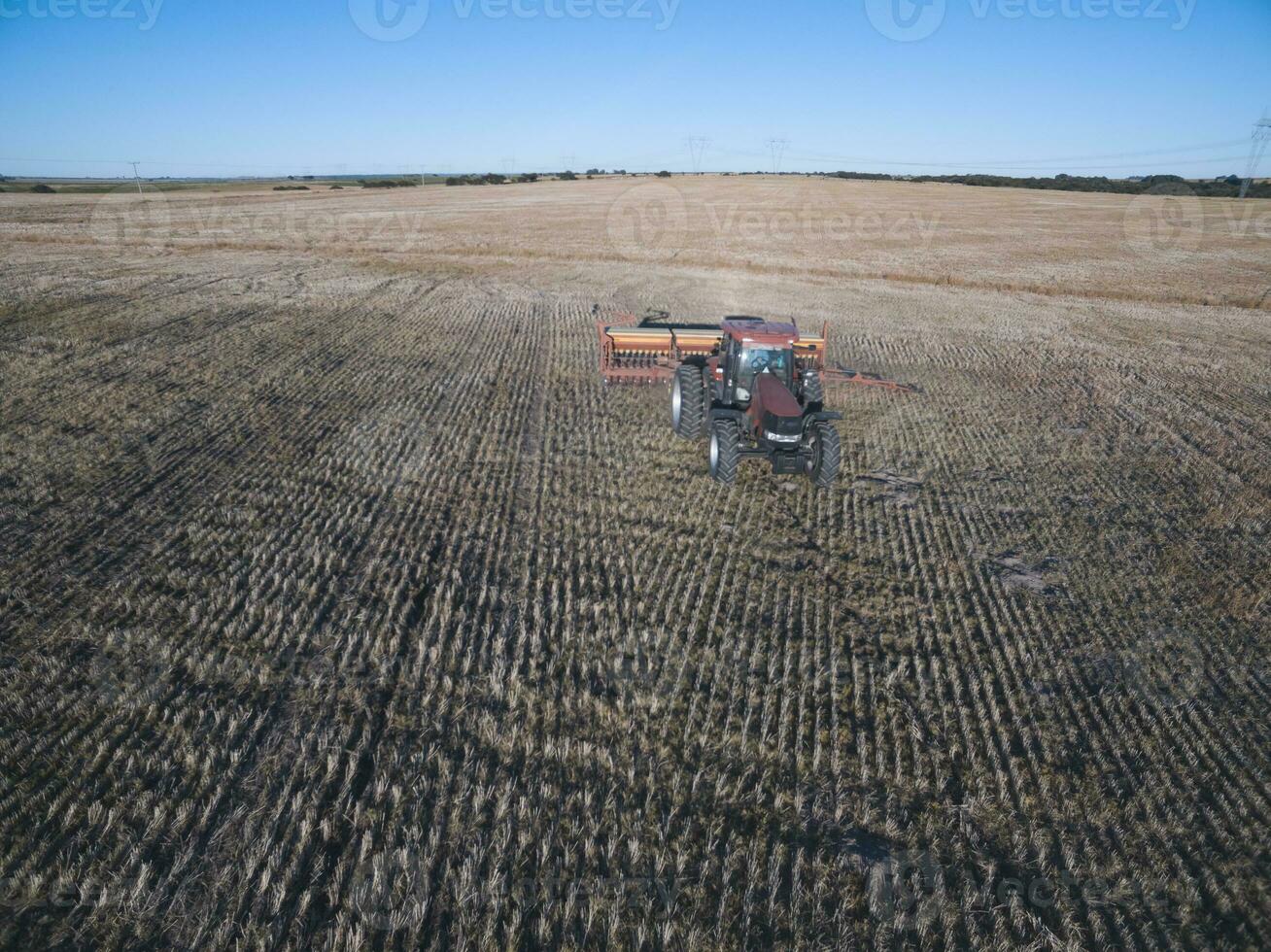 Direct seeding, agricultural machinery, in La Pampa, patagonia, Argentina photo