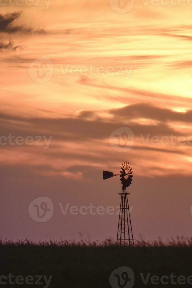 Rural landscape with windmill at sunset, Pampas , Argentina photo