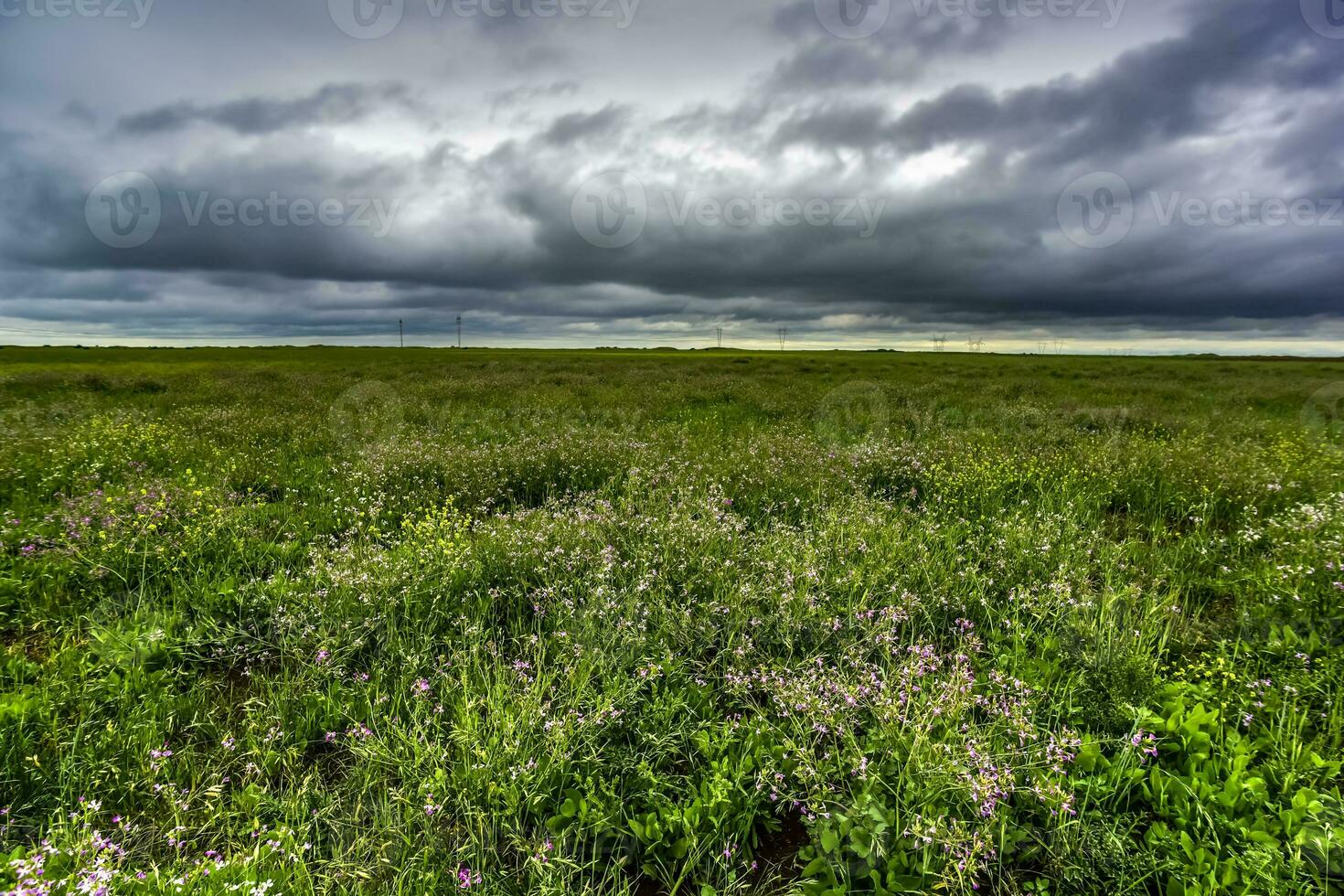 rural paisaje Tormentoso, buenos aires provincia , argentina foto