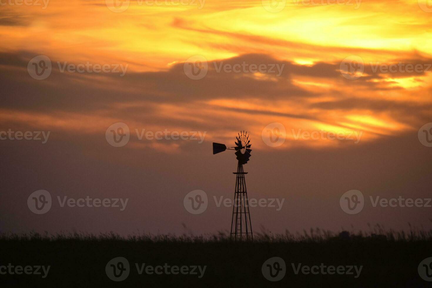 rural paisaje con molino a atardecer, pampa , argentina foto